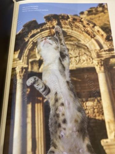 CATS OF EPHESOS - EFESİN KEDİLERİ (TÜRKÇE-İNGİLİZCE-ALMANCA)