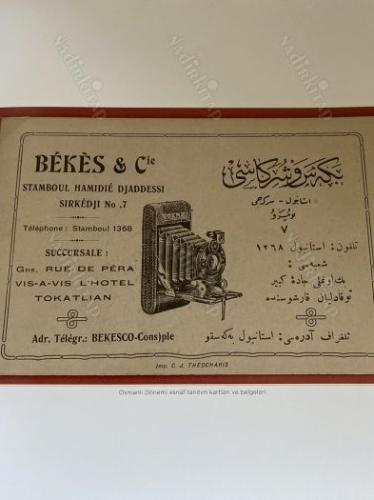 Benim Koleksiyonum - Sanatçıların Biriktirdikleri Bilgiler Açıklamada