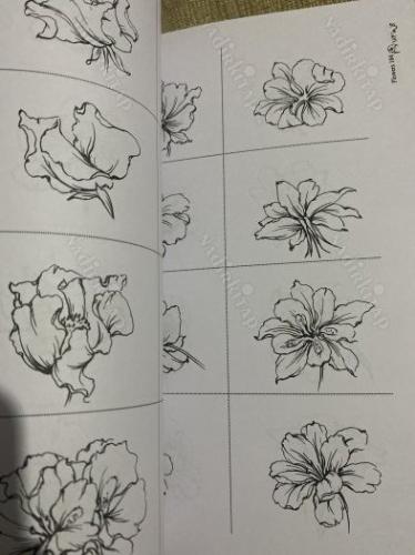 flowers and birds Designs