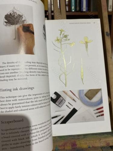 drawing and painting plants
