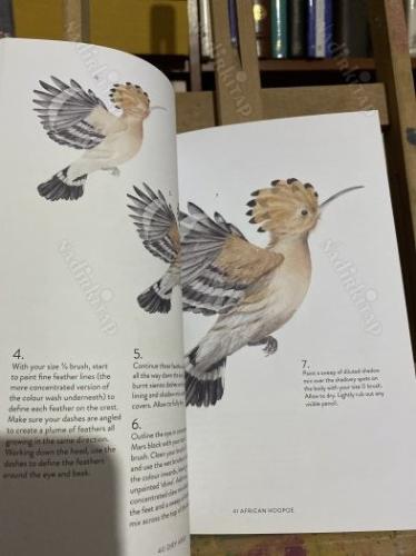 Birds, Bees & Blossoms Kağıt Kapak  7 Ekim 2021 İngilizce Baskı Harriet de Winton (Eser Sahibi)