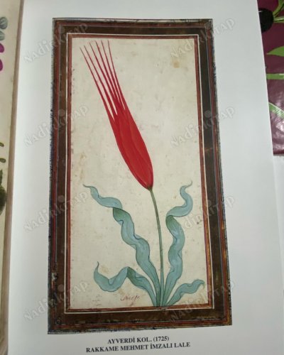 YÜZYILLAR BOYUNCA ÇİÇEK RESSAMLIĞI (1.BASKI)
