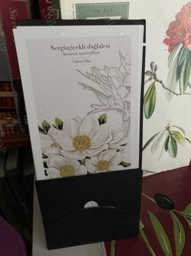 Z Kültür Sanat Şehir Mevsimlik Tematik Dergi 2017/1 Yaz  Bitki Ressamlığı . 10 ADET AYRI BASIM 35X15 CM ÇİÇEK KART POSTALI İLE BİRLİKTE.