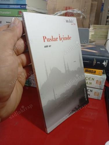Puslar İçinde