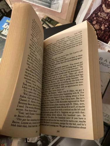 the bonfire of the vanities - tom wolfe   (ing)